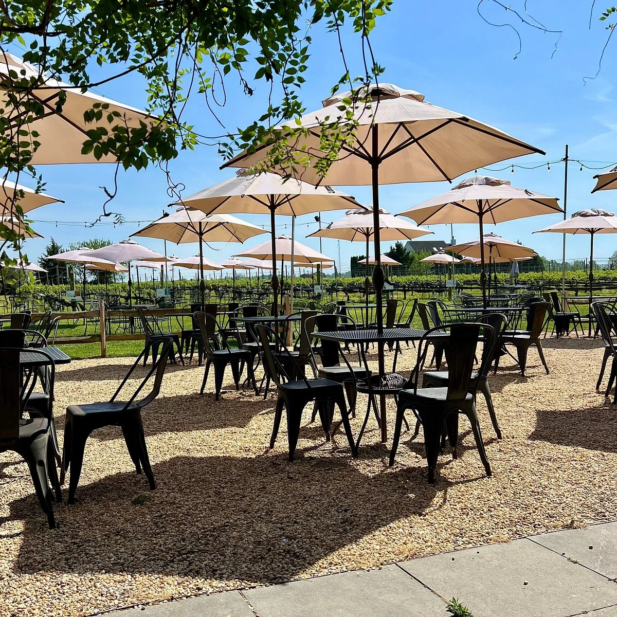 Auburn Road Vineyard & Winery