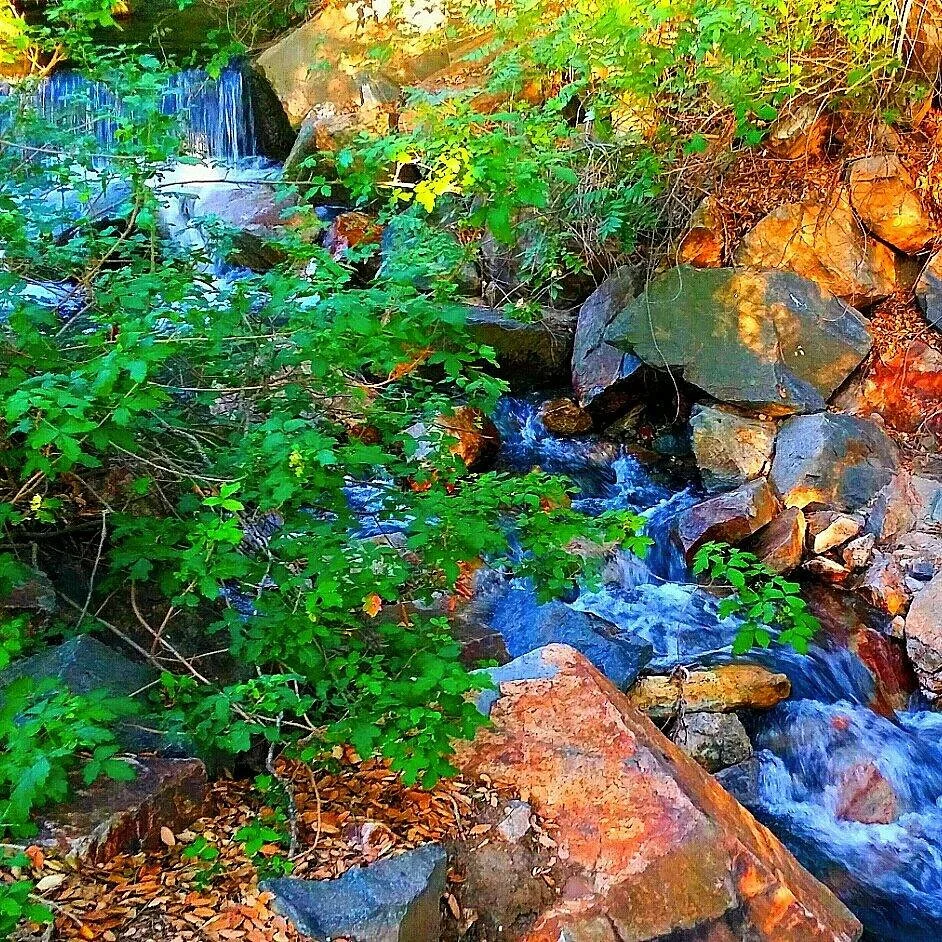 Oak Canyon Nature Center