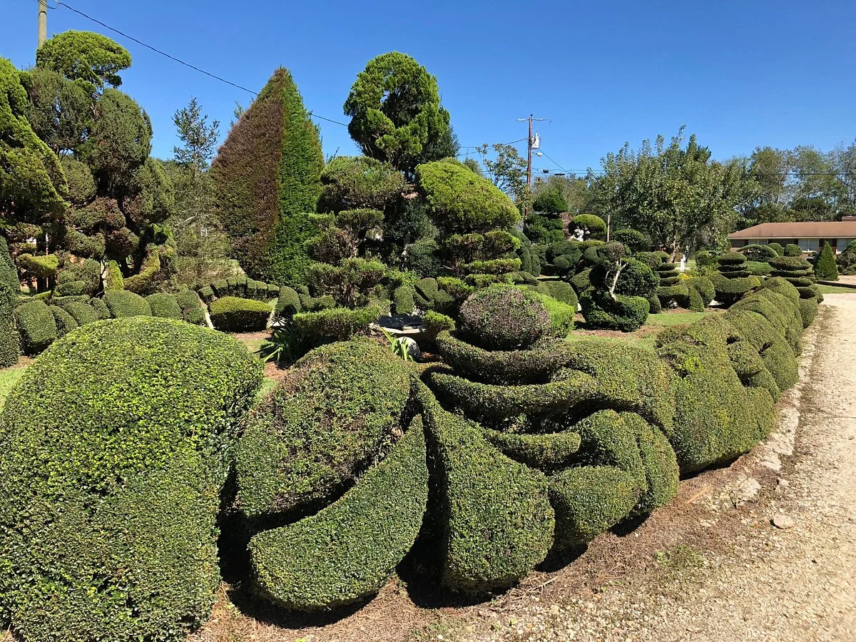 Pearl Fryar's Topiary Garden