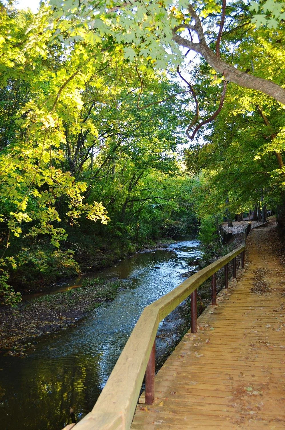 Lanana Creek Trail