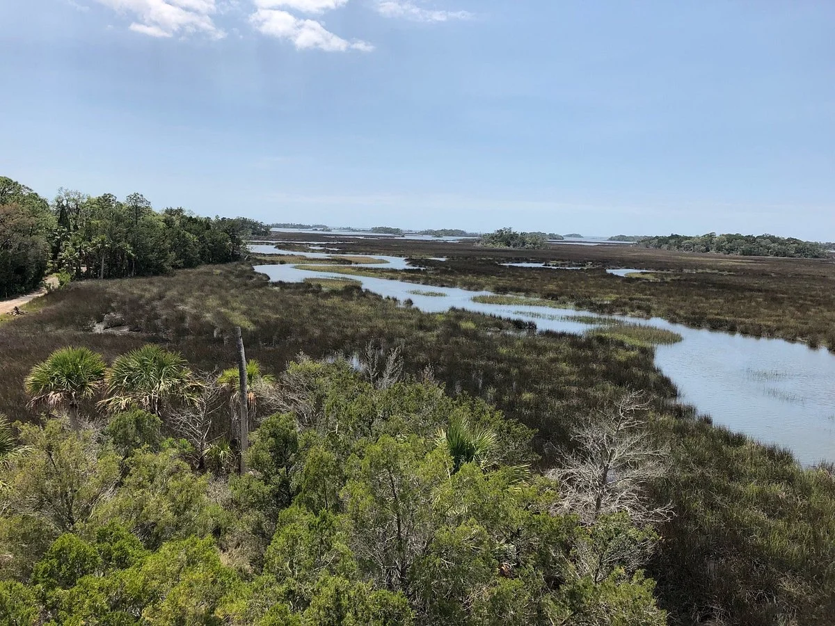 Withlacoochee Gulf Preserve