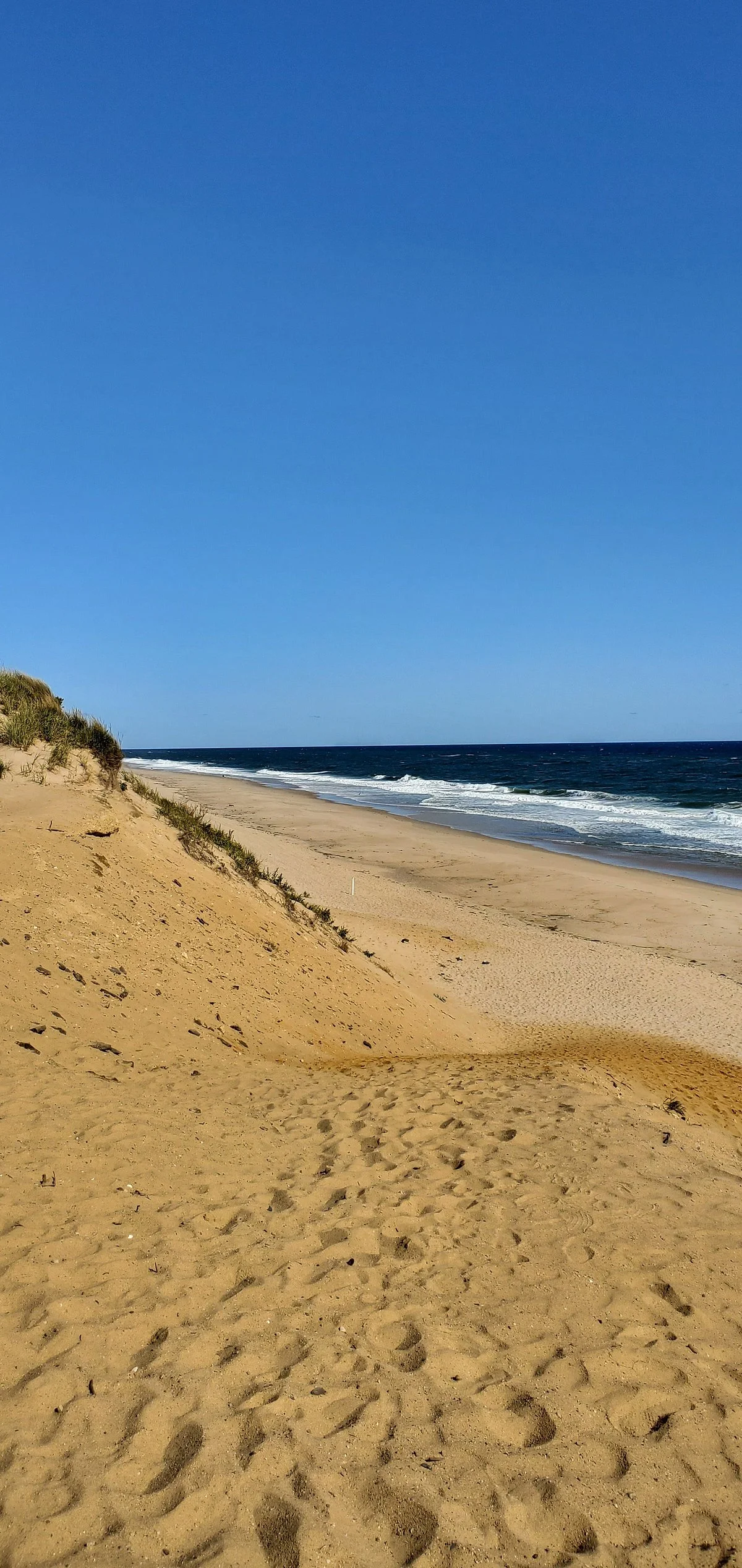 Newcomb Hollow Beach