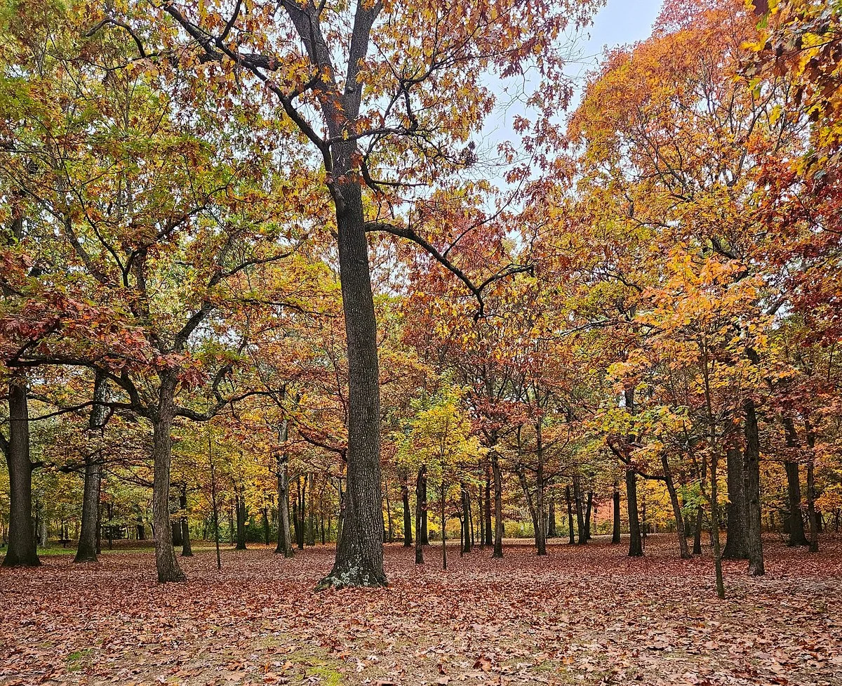 Hempstead Lake State Park
