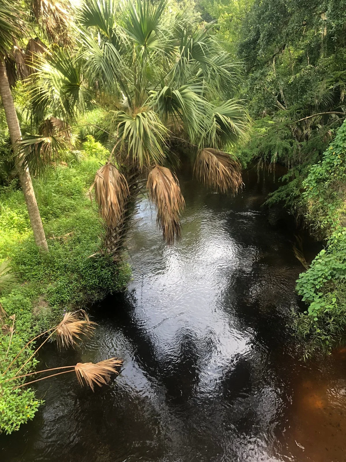 Cross Seminole Trail