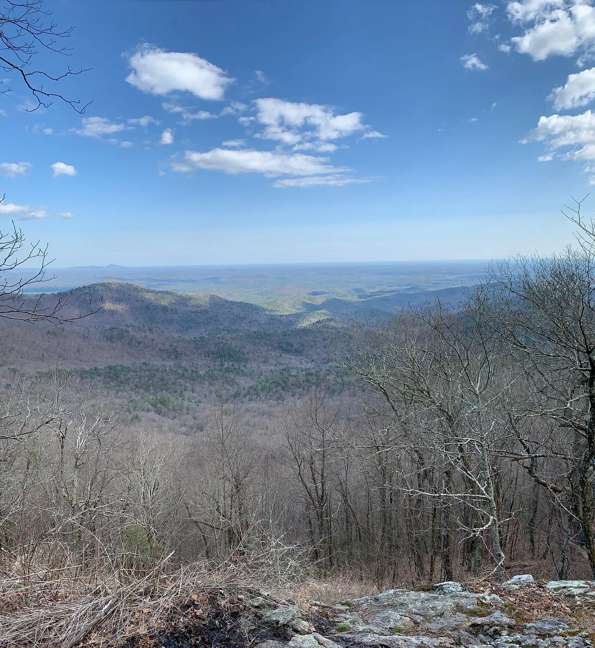 Springer Mountain