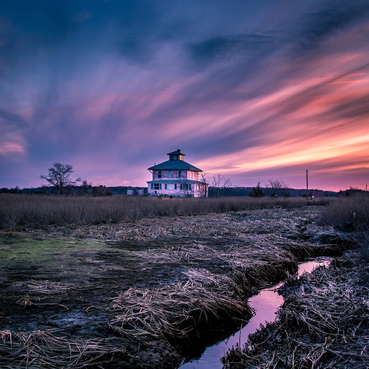 The Pink House