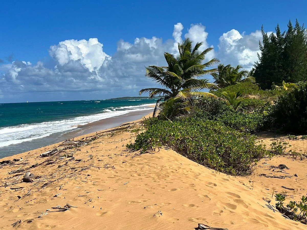 Playa La Pocita De Pinones