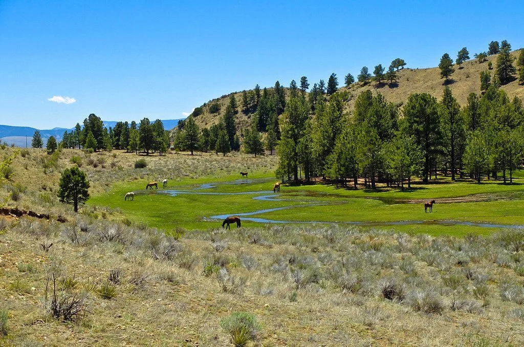 Eagle Nest Lake