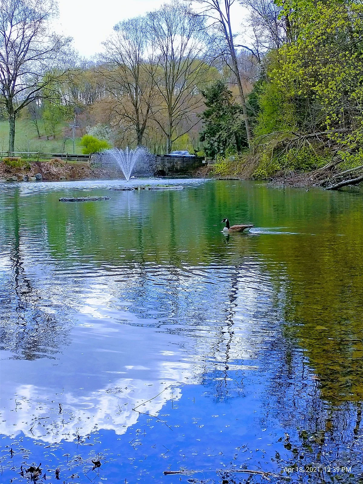 Round Hill Park