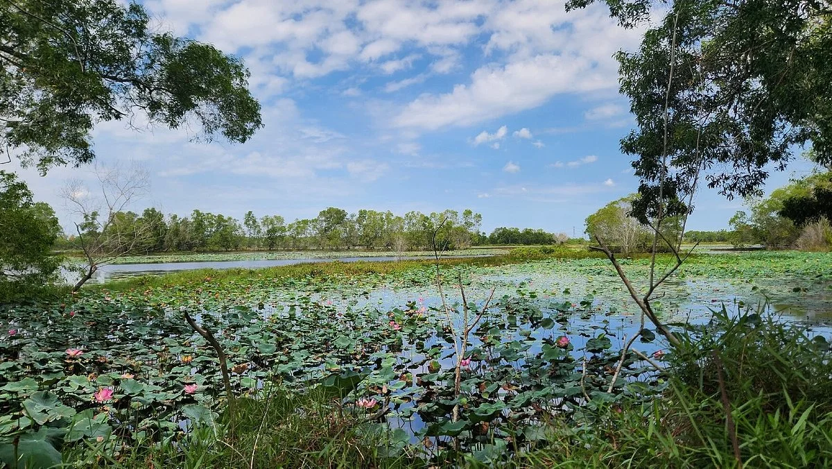 Paya Indah Wetlands