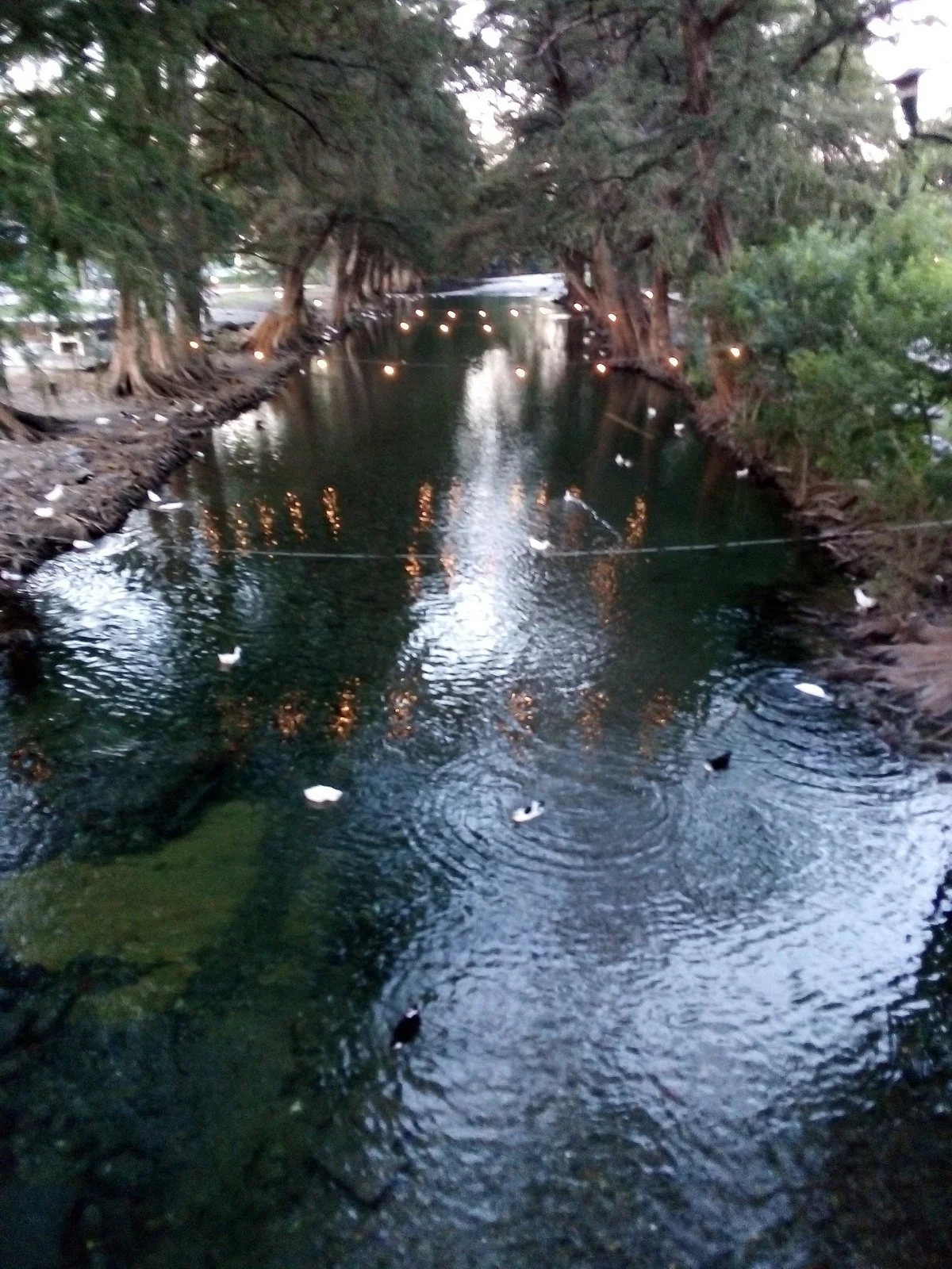 Paseo Río la Silla - Parque Tolteca