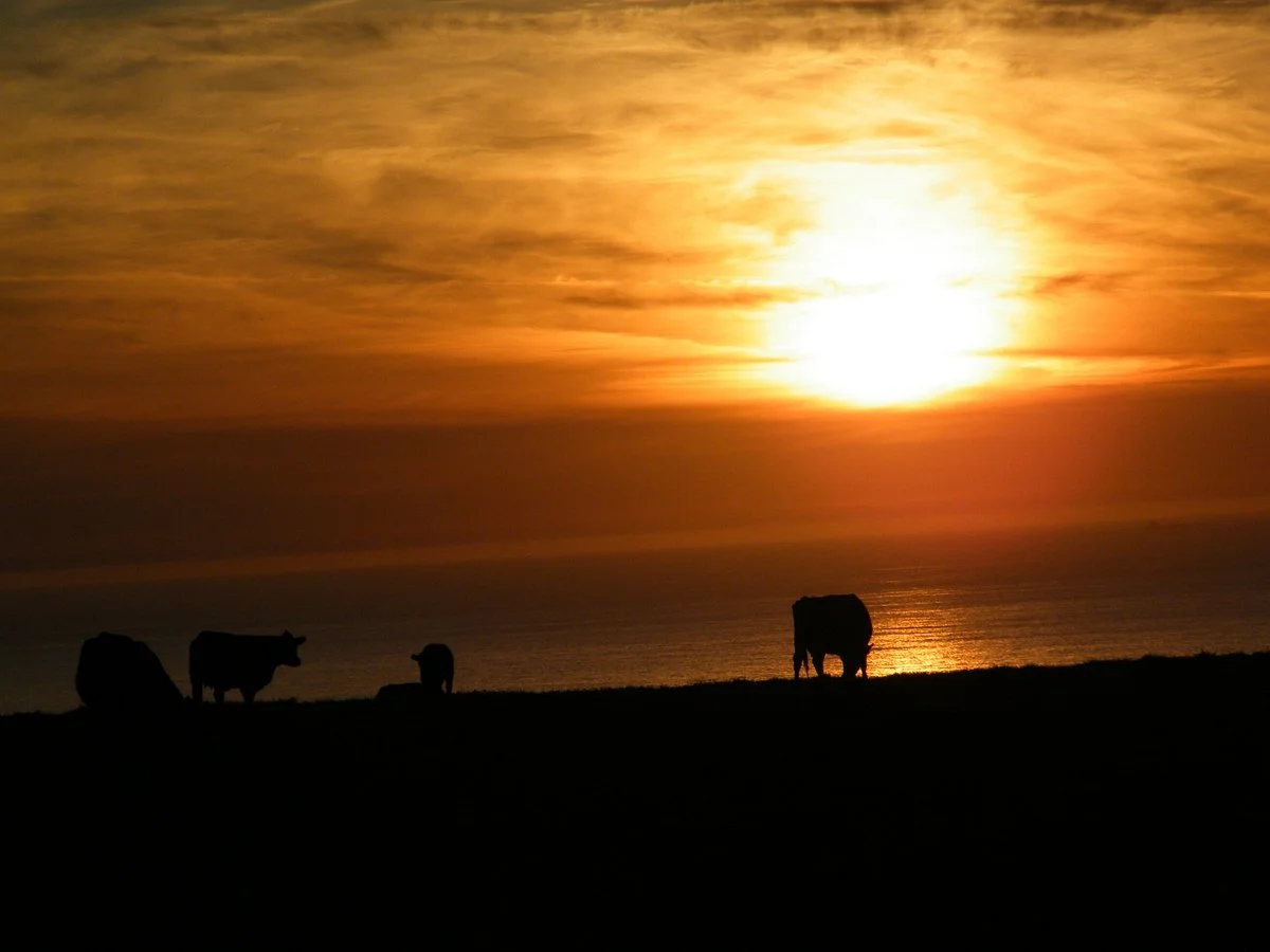 Tomales Bay State Park