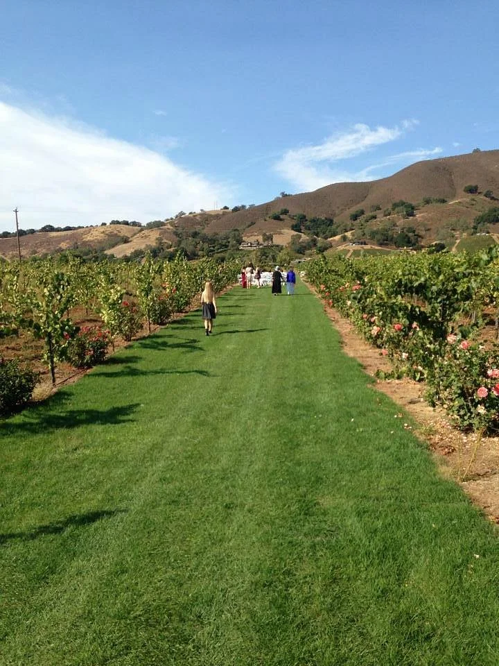 Kirigin Cellars Winery