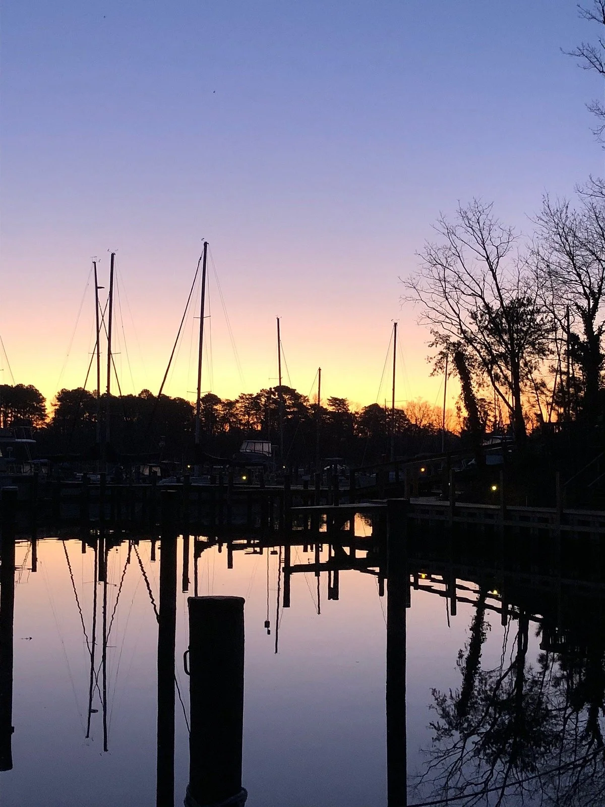 Spring Cove Marina