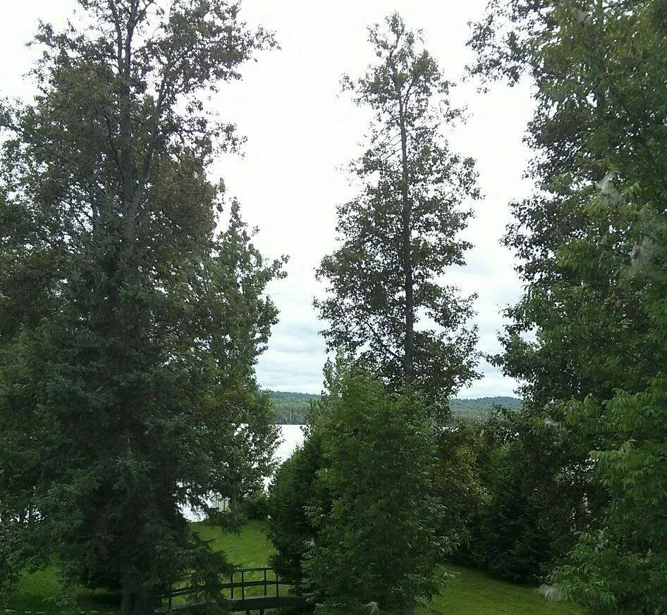 Vermilion Lake