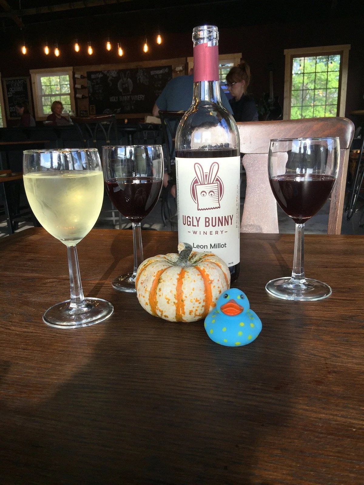Ugly Bunny Winery