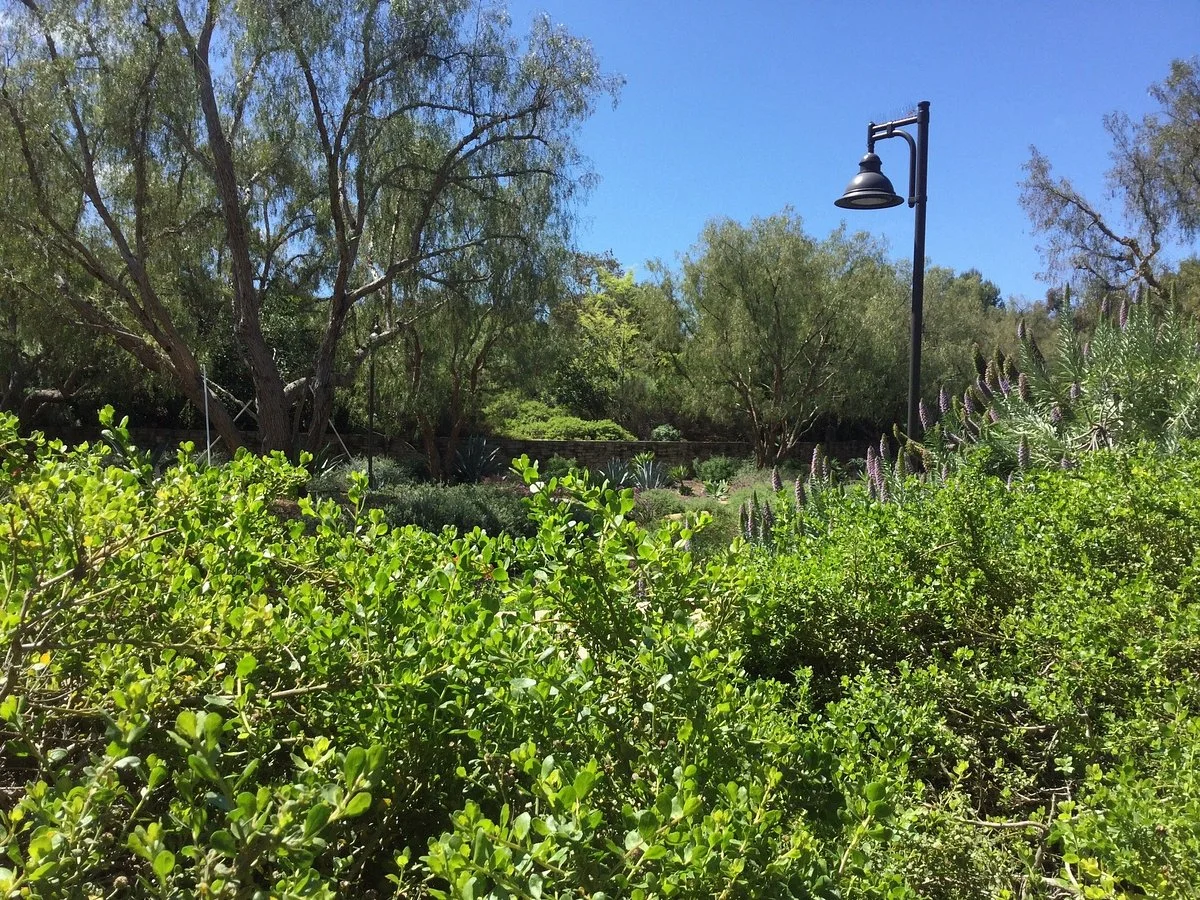 Turtle Rock Community Park