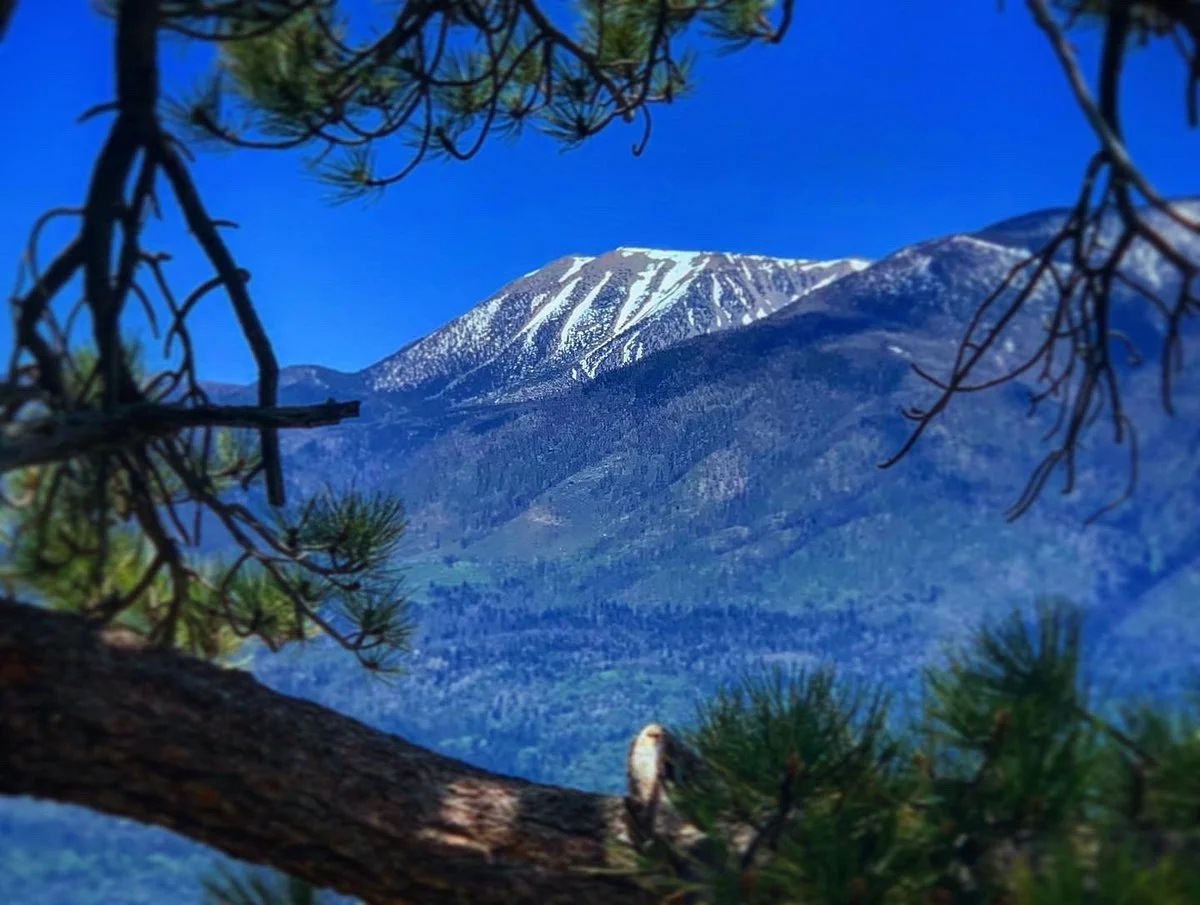 Pine Knot Trail