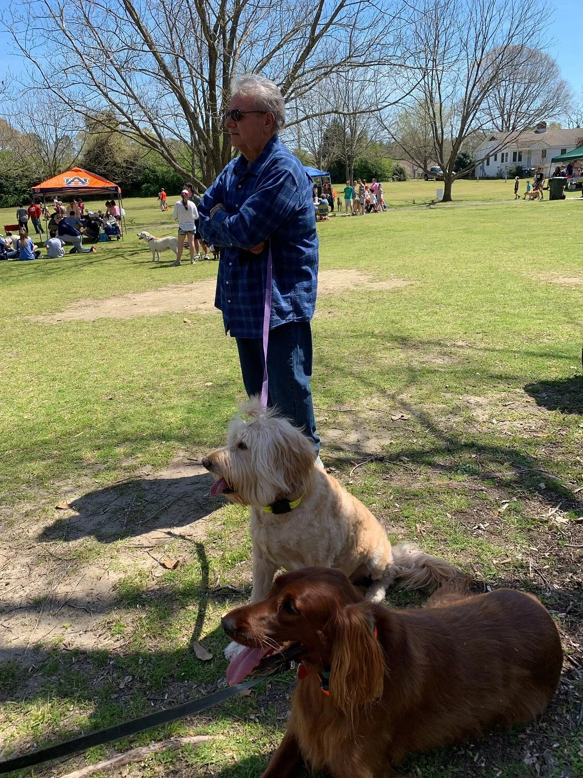 Kiesel Park