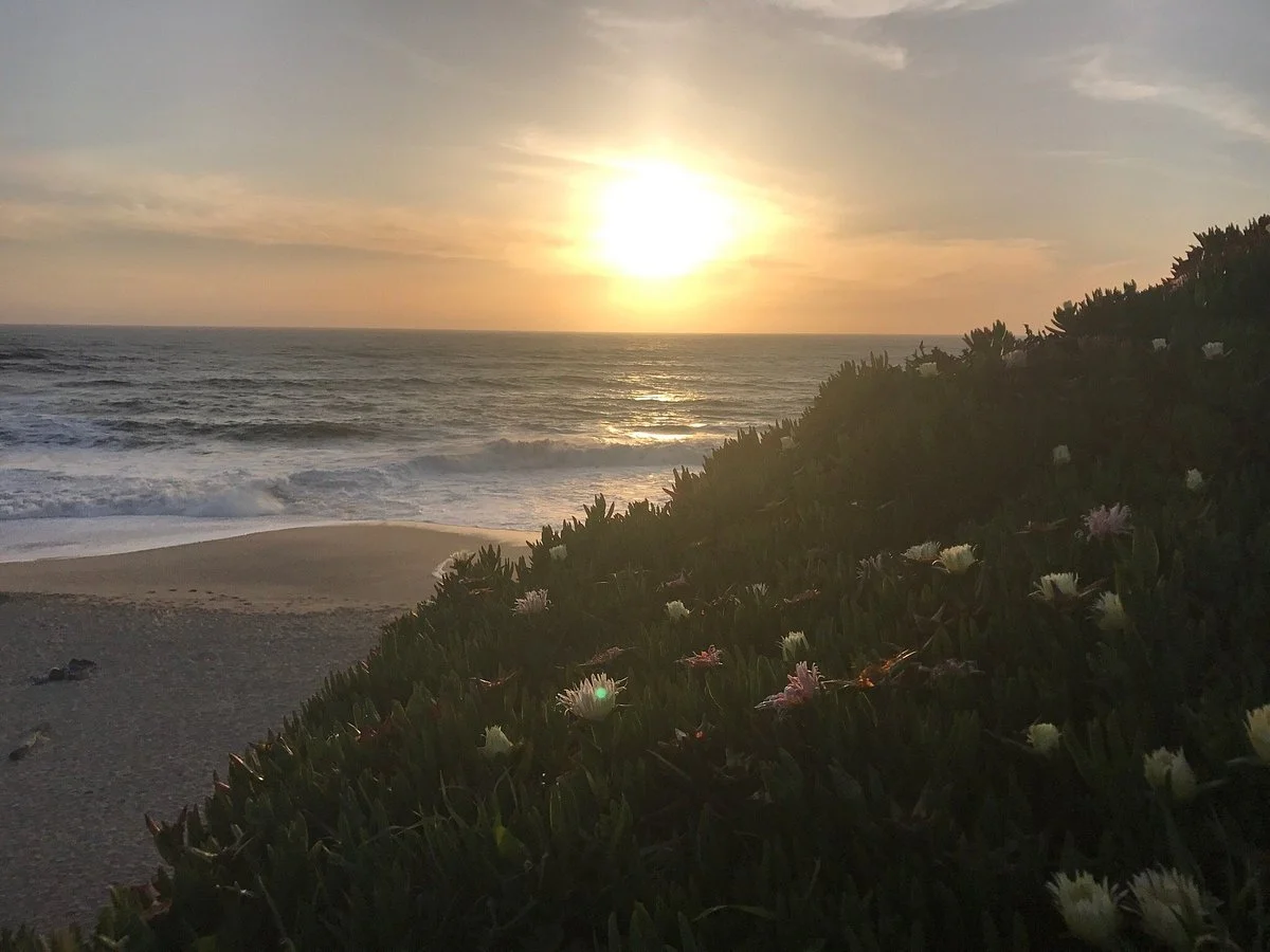 Poplar Beach