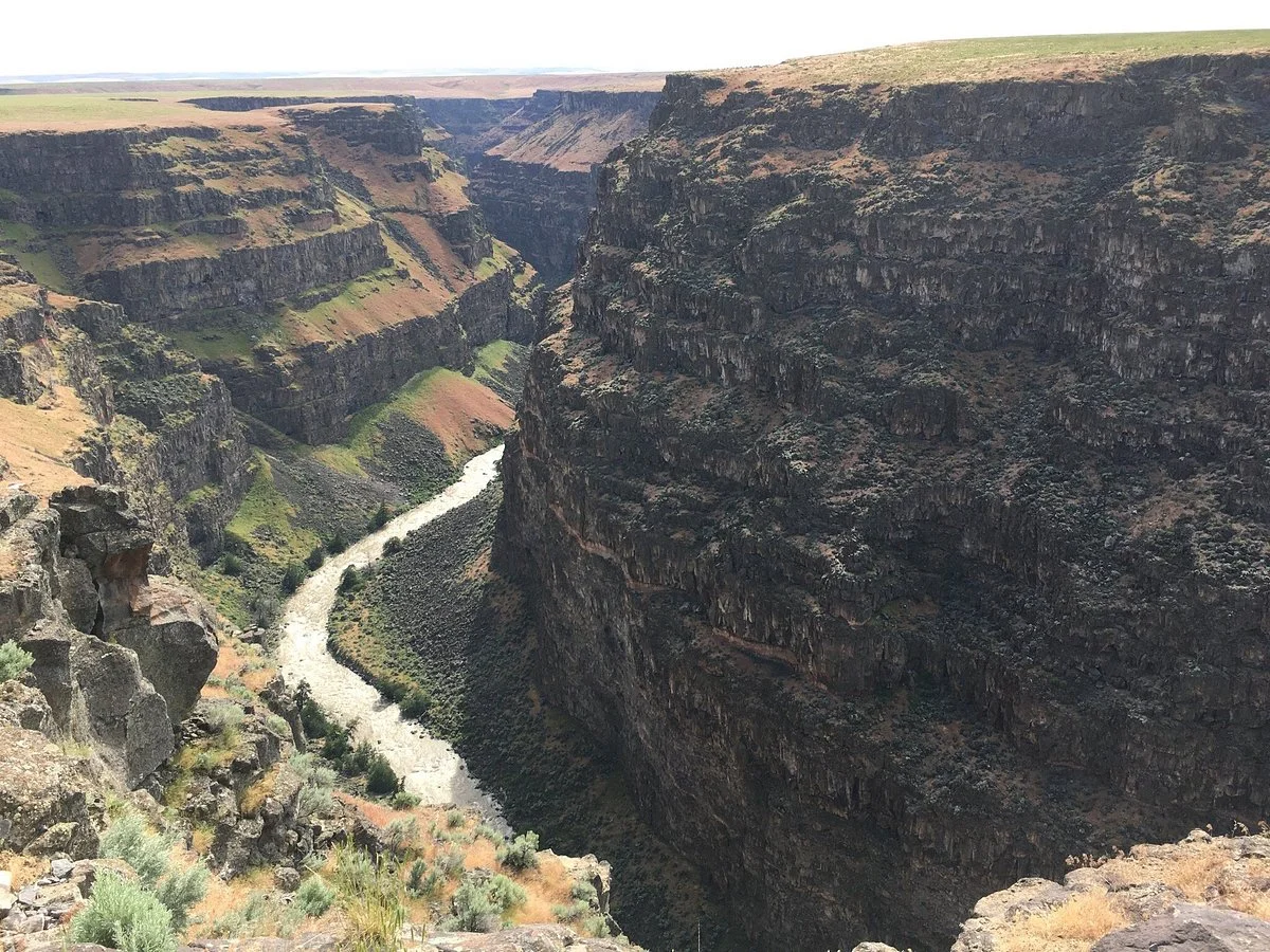 Bruneau Canyon