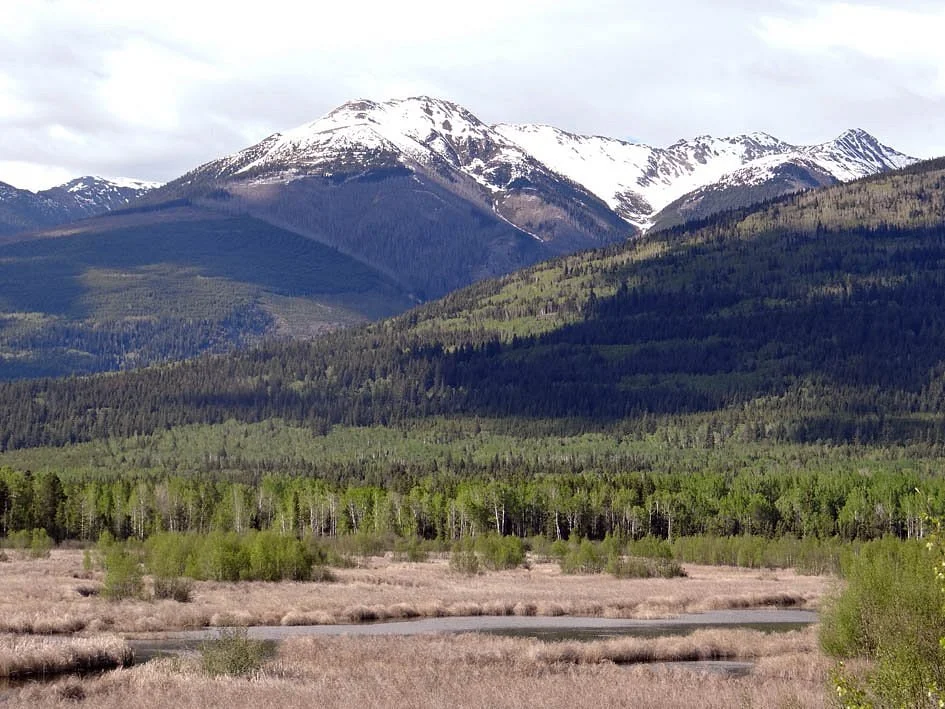 R.W. Starratt Wildlife Sanctuary