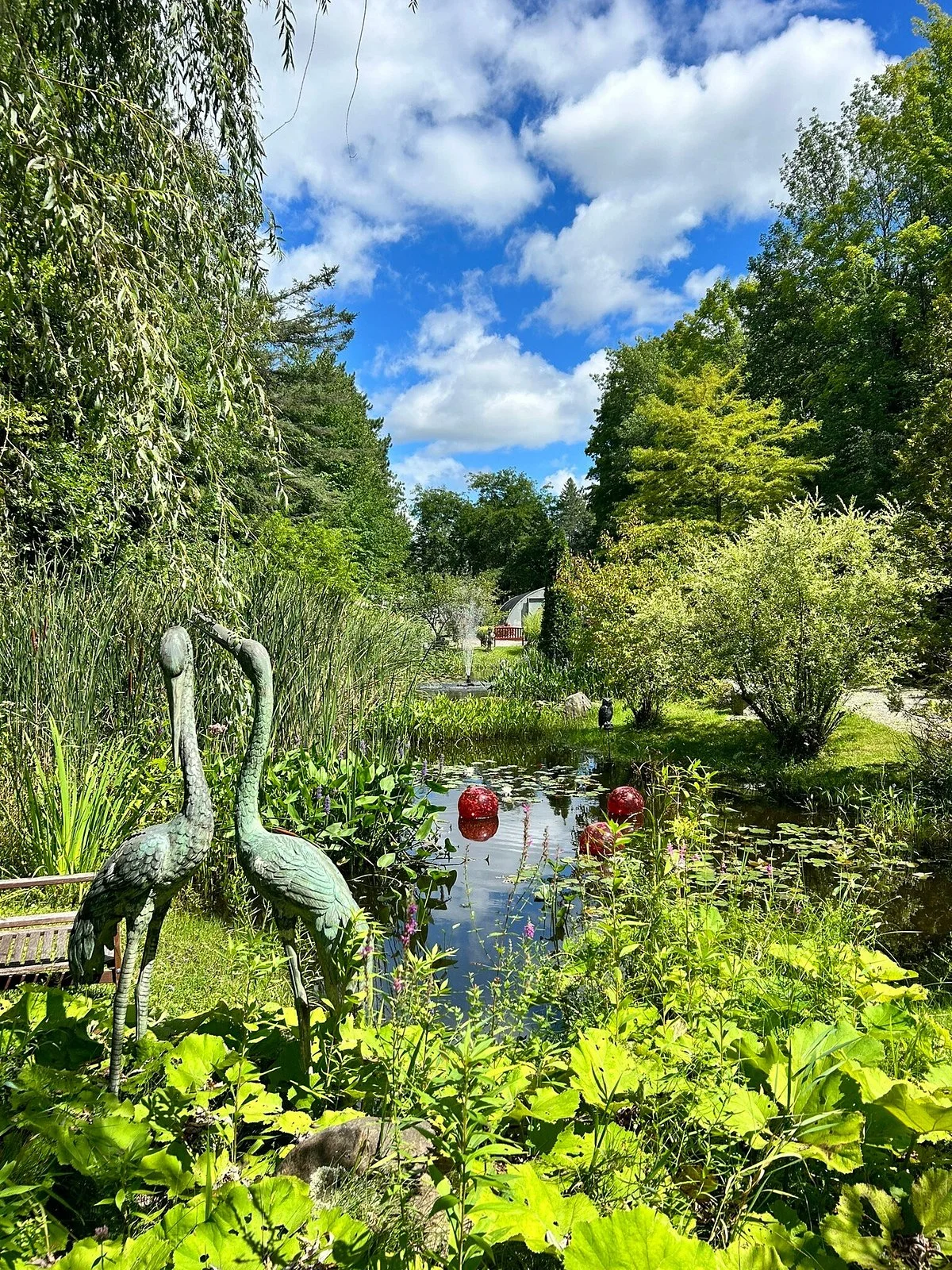Rideau Woodland Ramble