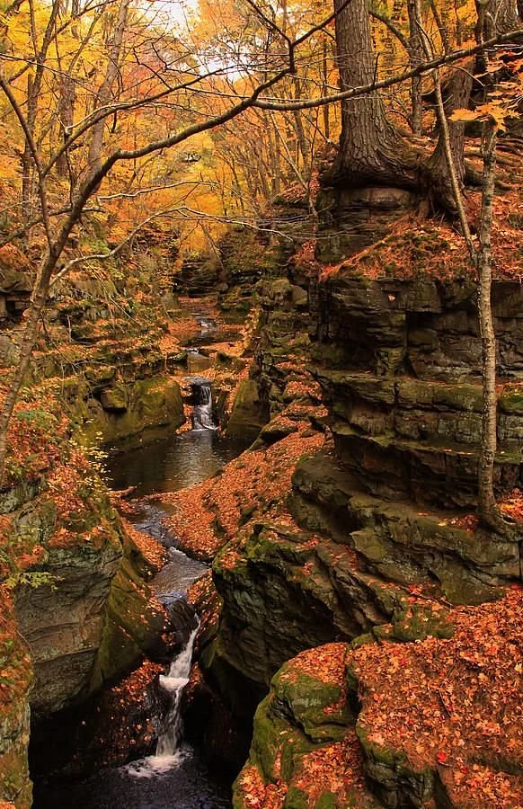 Parfrey's Glen