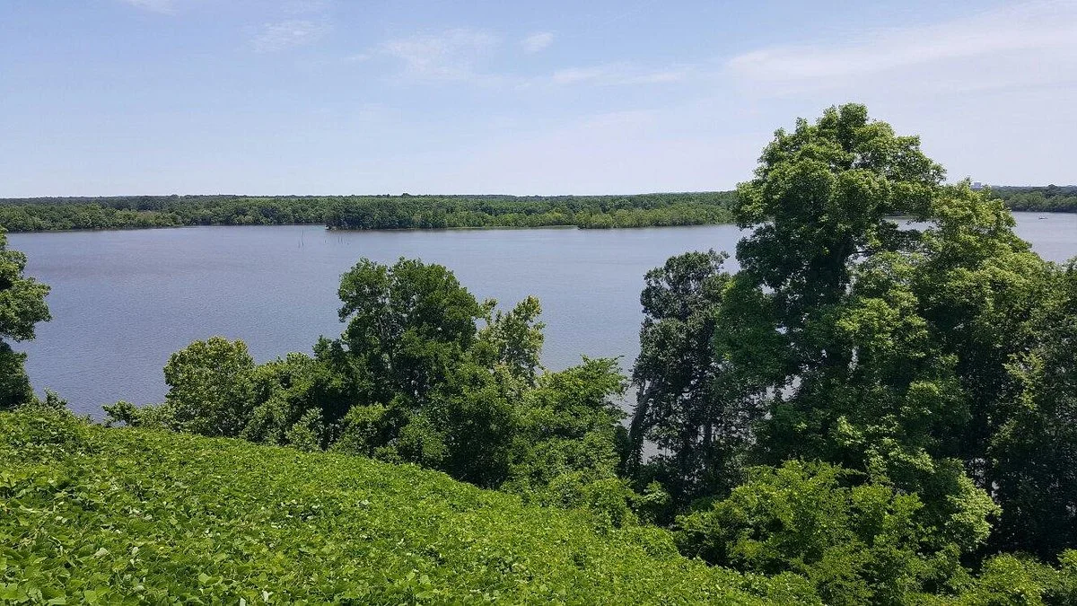 Cooter's Pond Park