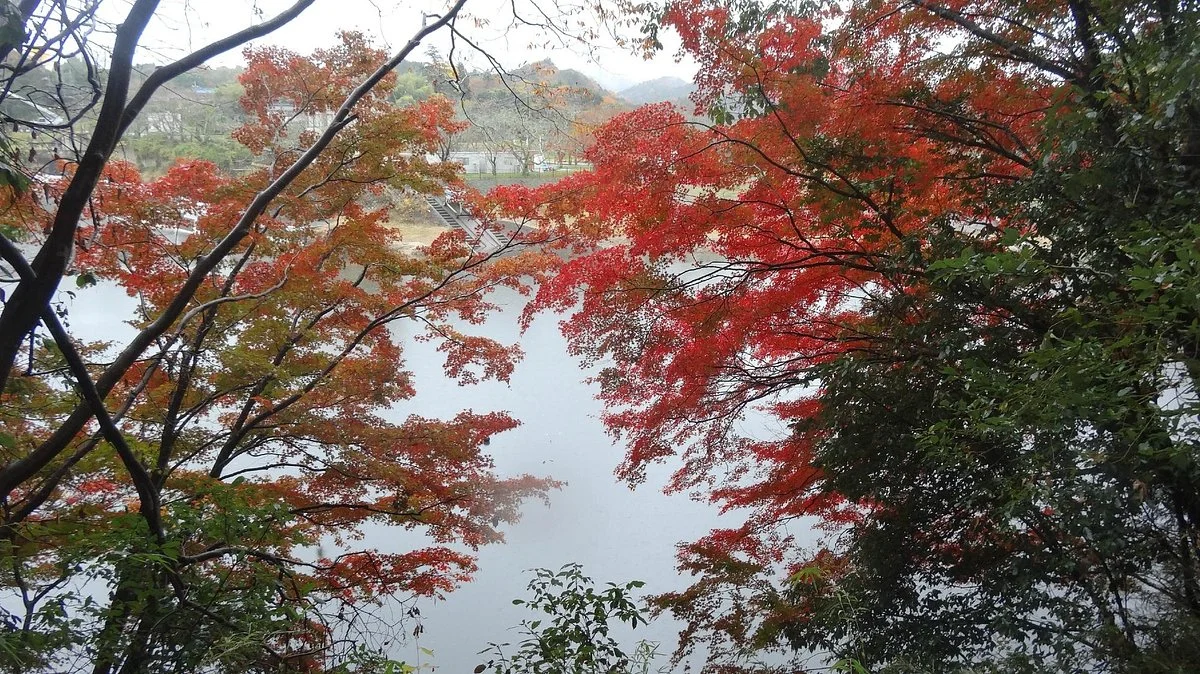 Mishima Lake