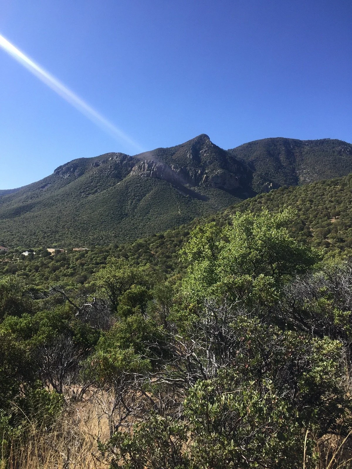 Brown's Canyon Trail