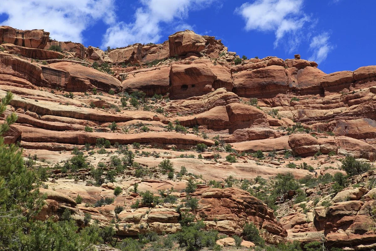 Cedar Mesa