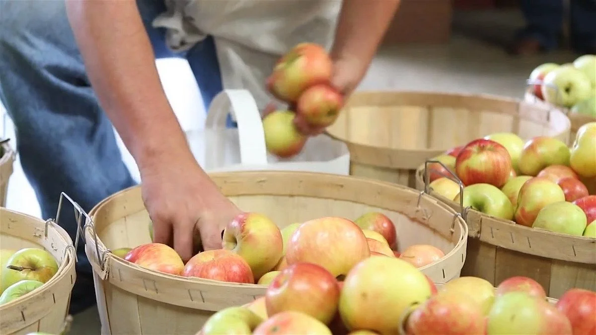 Hillcrest Orchard