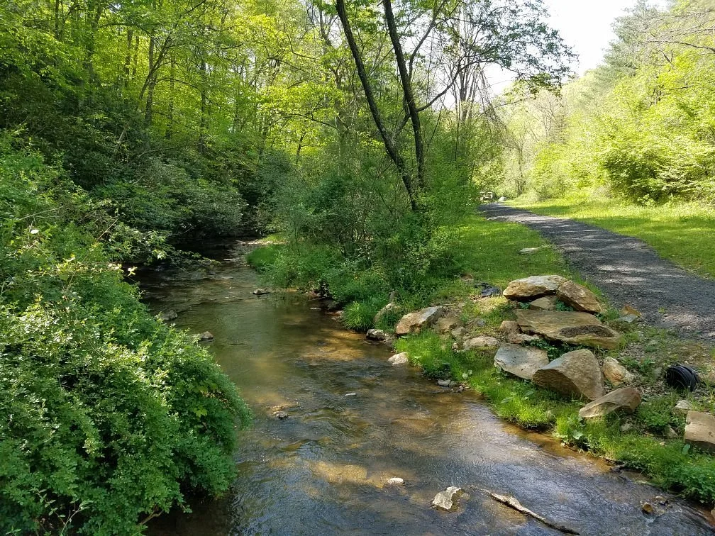 Beaver Dam Creek Walking Trail