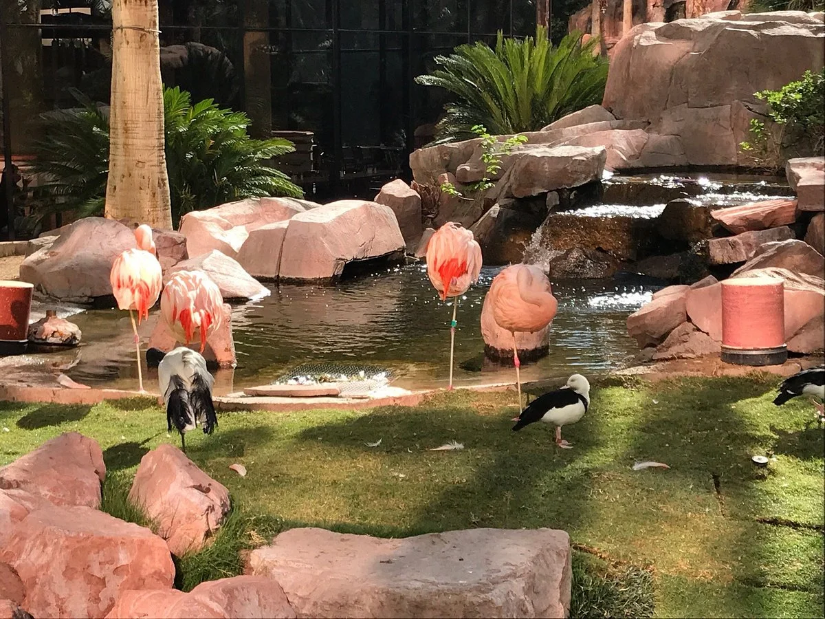 Flamingo Wildlife Habitat