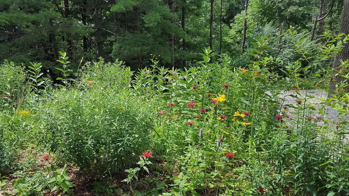 Macbride Nature Recreation Area