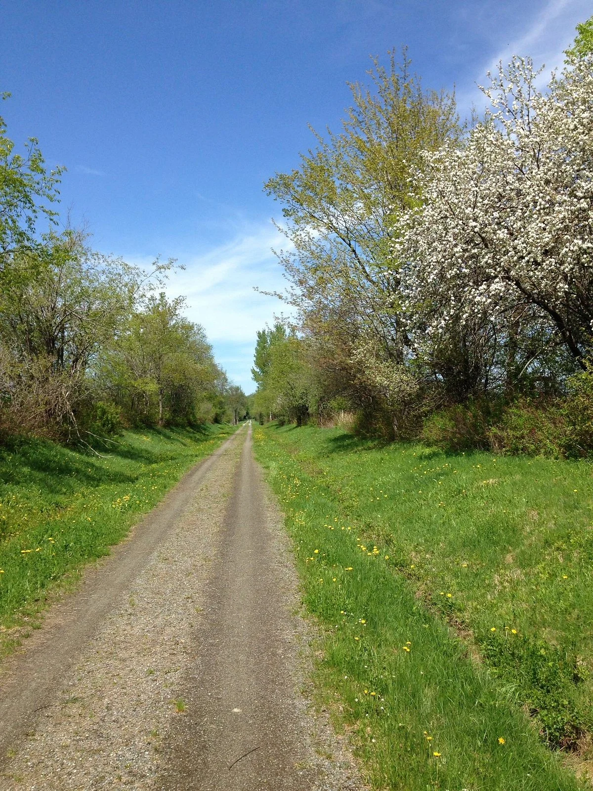 Newport Bike Path