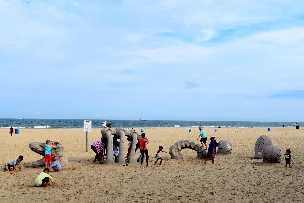 Dinosaur Bones Playground