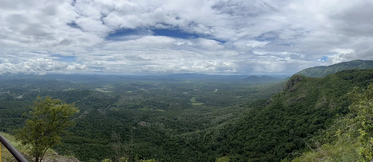Needle Rock View Point