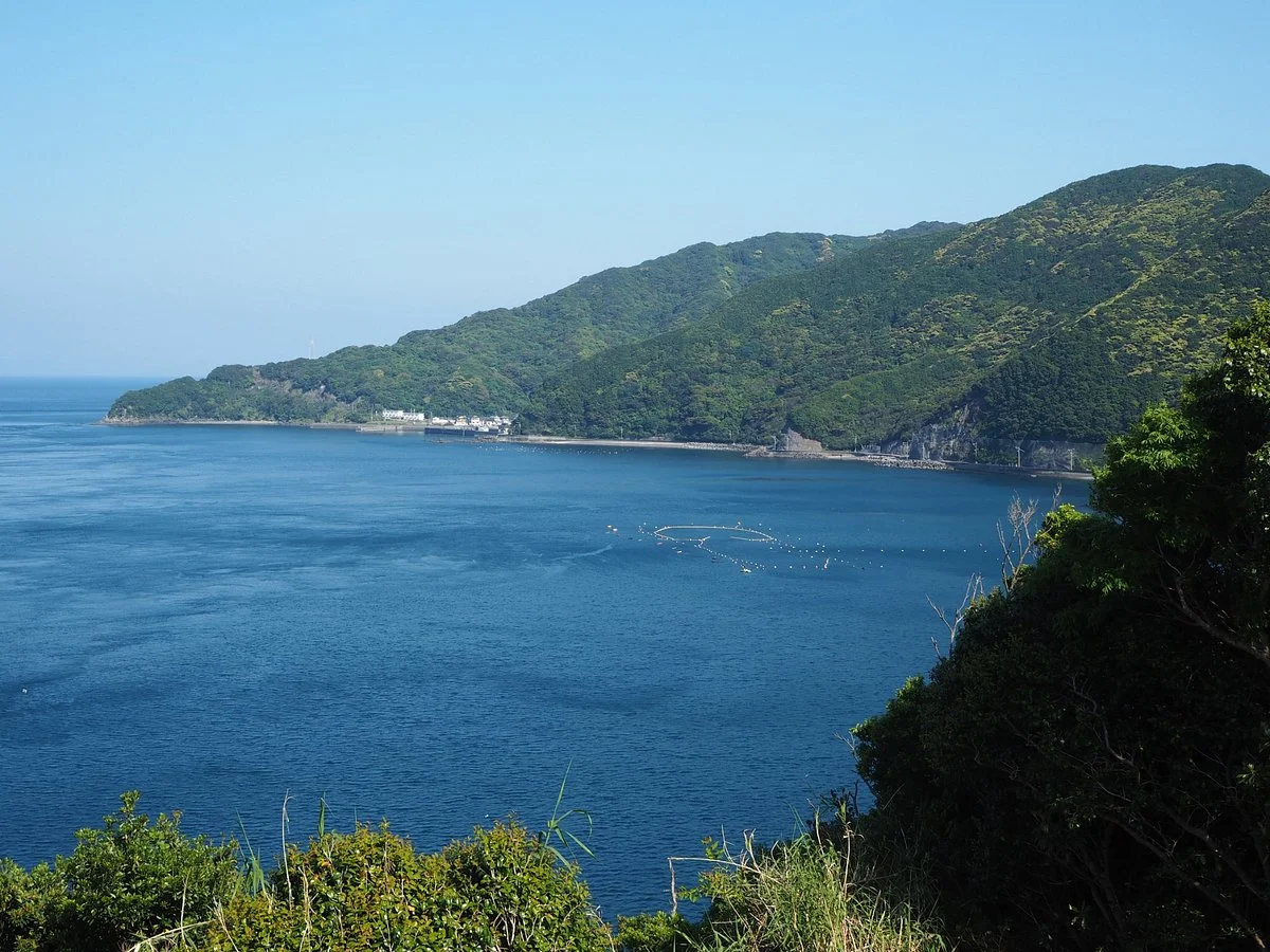 Tangahodaienchi