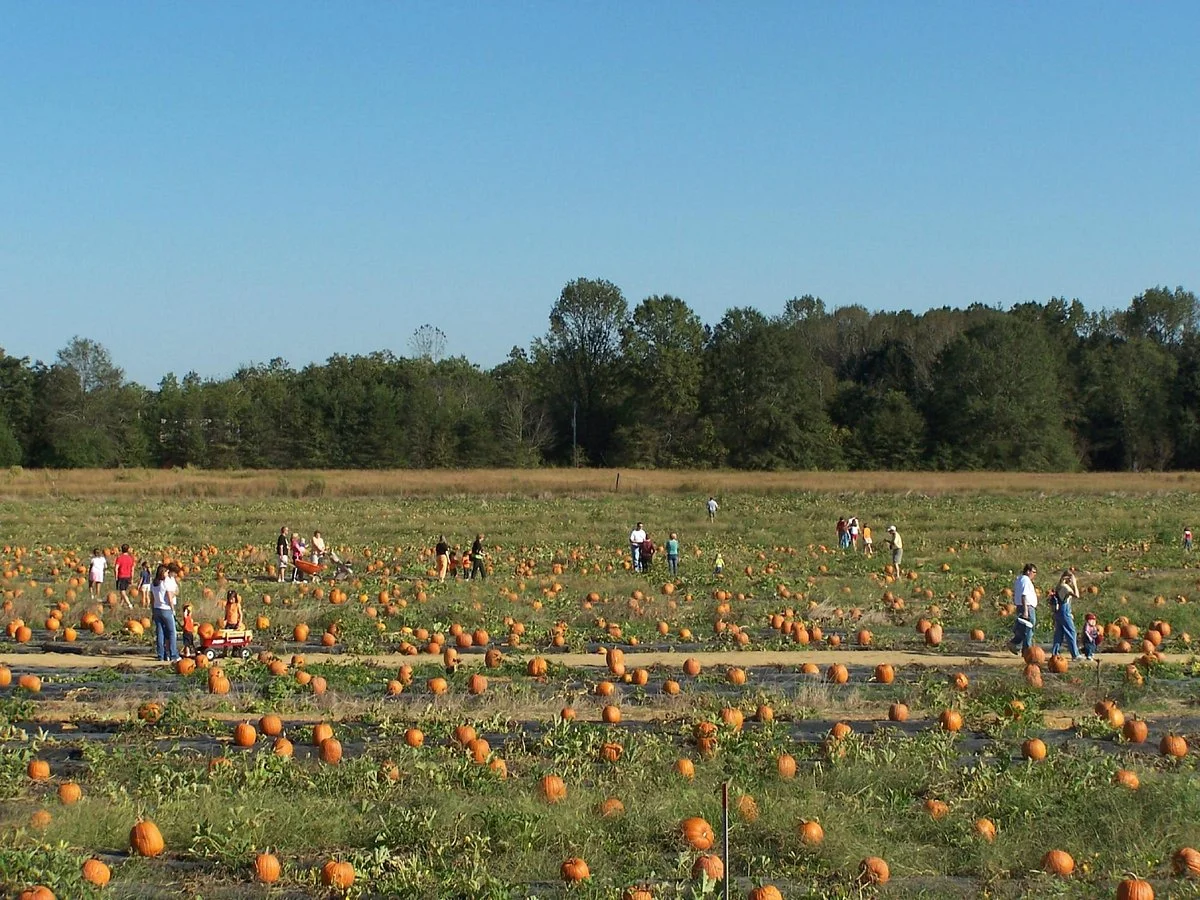 Washington Farms