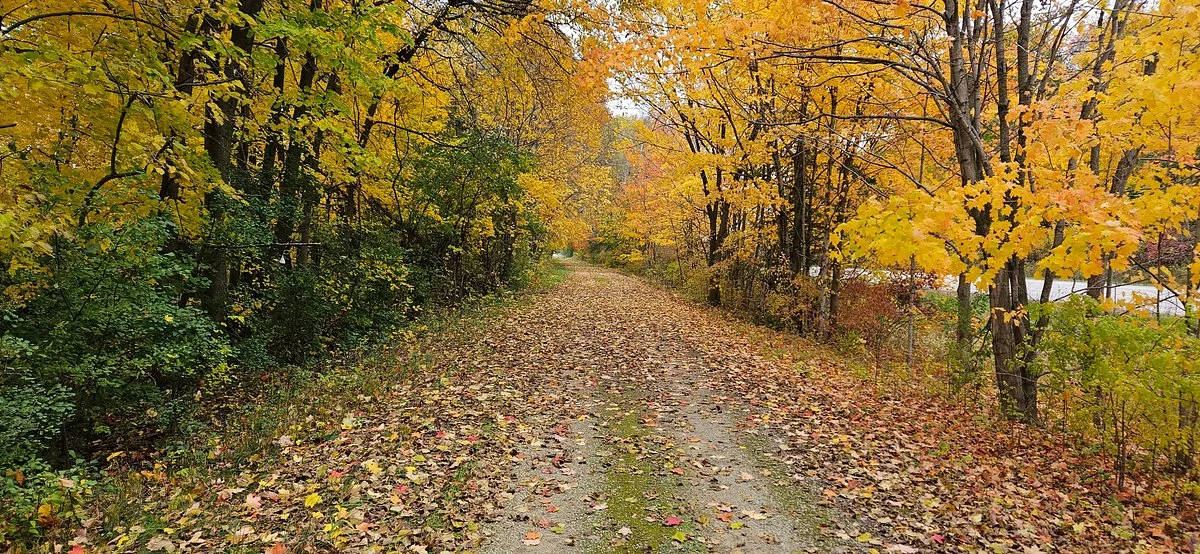 Glacial Drumlin State Trail West