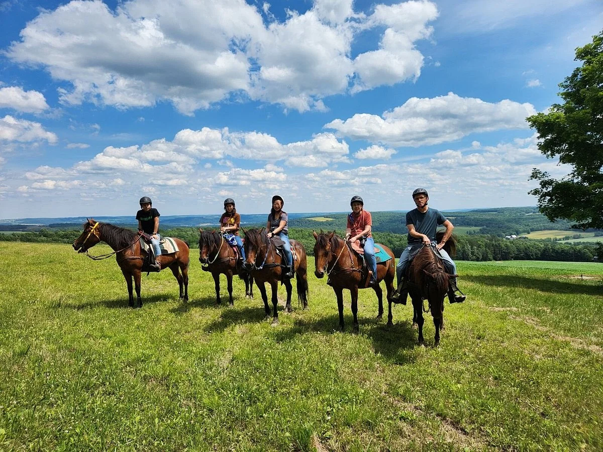 Overland Morgan Horse Farm