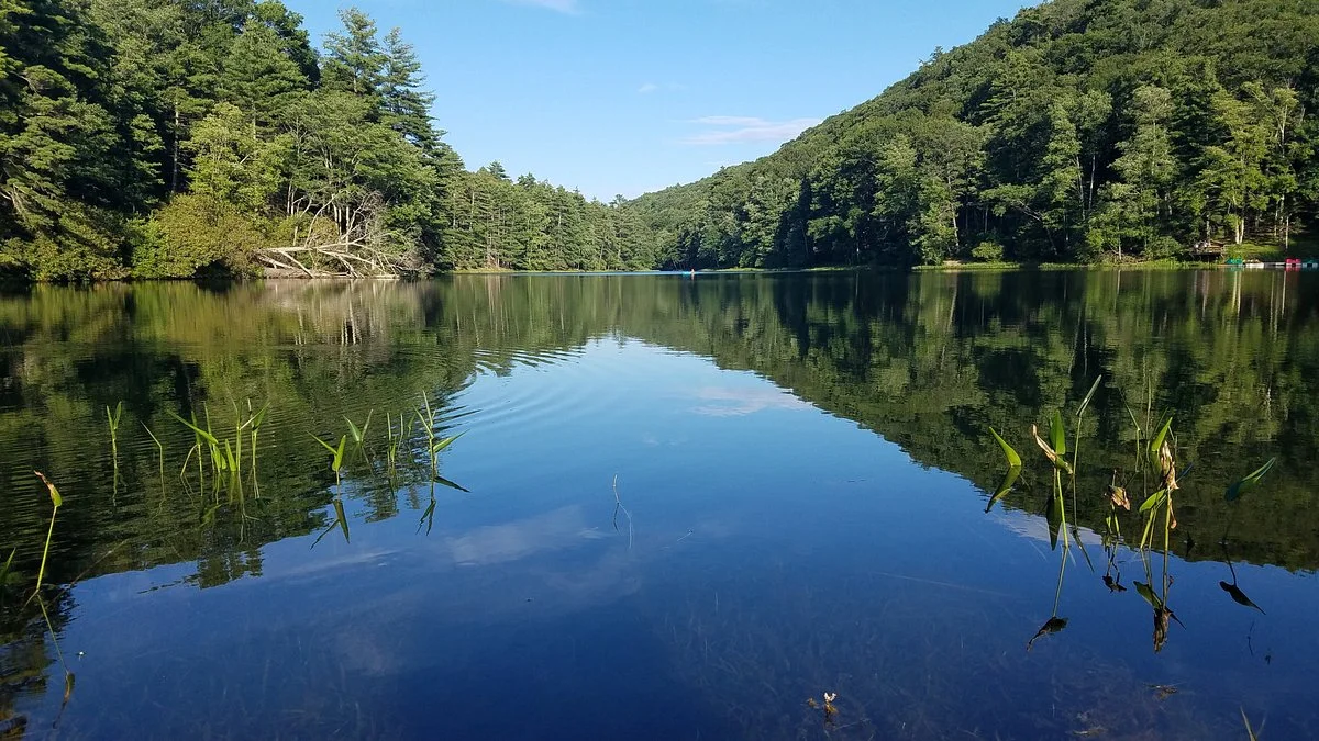 Watoga State Park