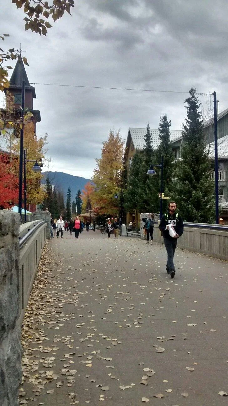 Whistler Explorer