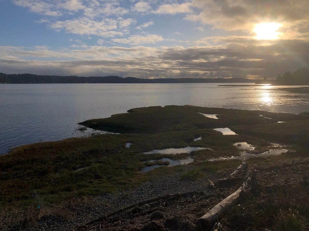 Belfair State Park