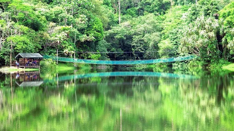 Sandakan Rainforest Discovery Centre (RDC)