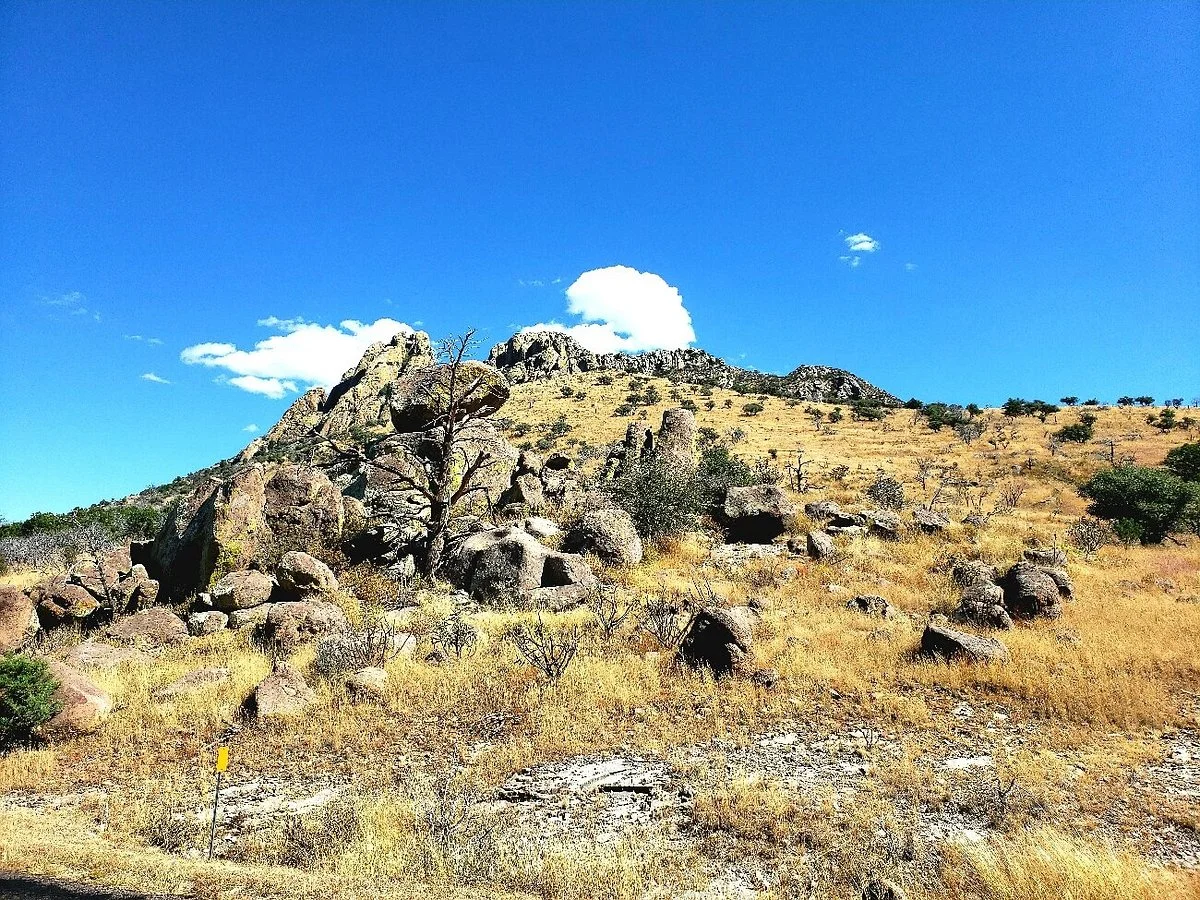Davis Mountain Scenic Loop