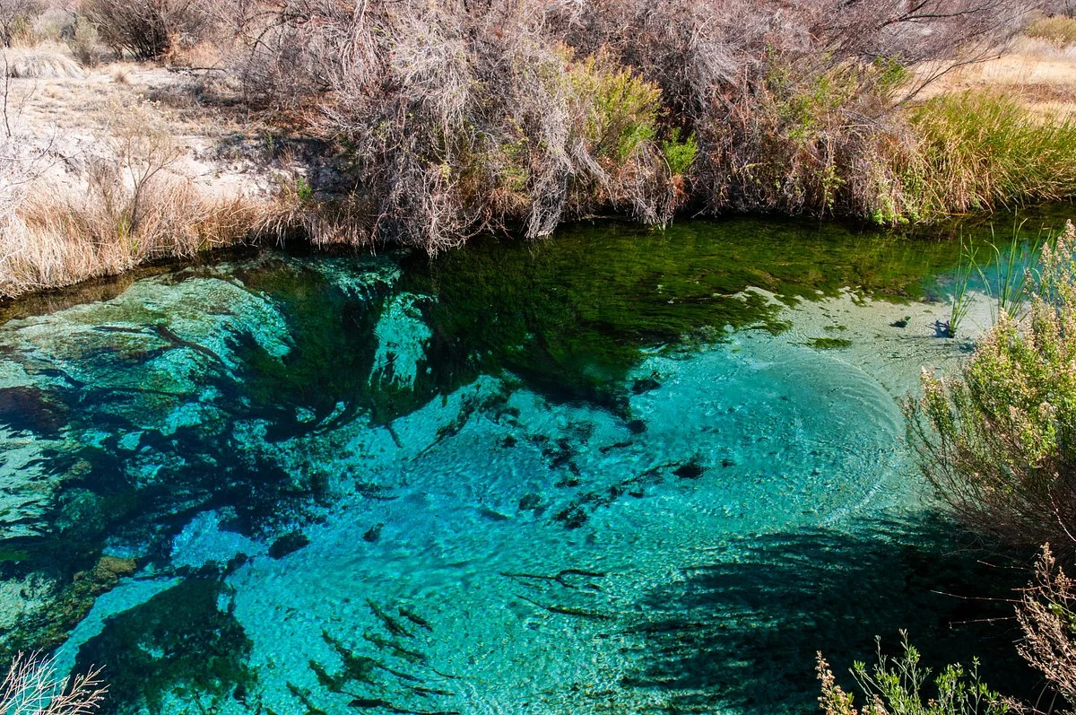 Ash Meadows National Wildlife Refuge