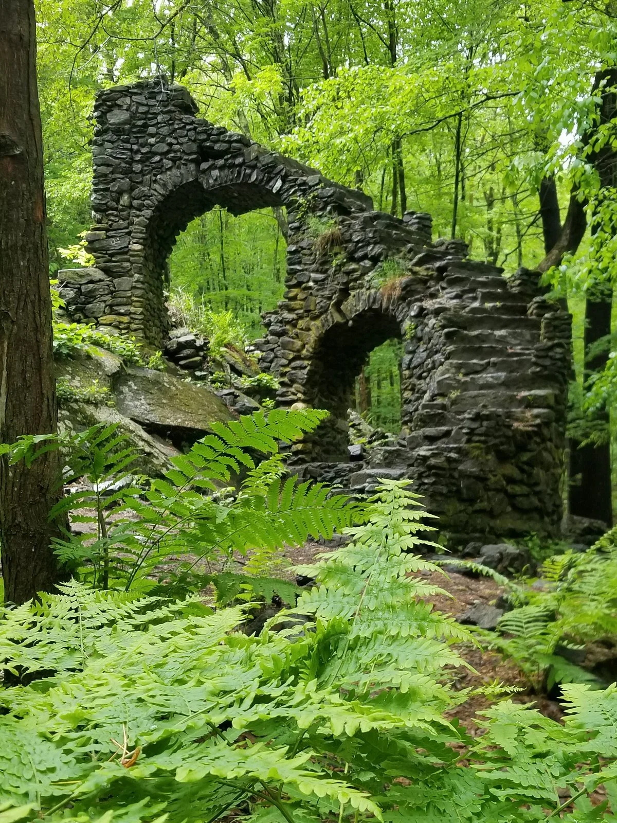 Madame Sherri Forest